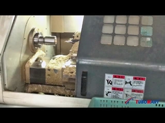 Pex Fittings For Durable Pex Fitting ISO 9001/9002 Certified