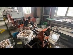 ODM Brass Gas Pipe Shut Off Valve Customized With Blue Handle Color